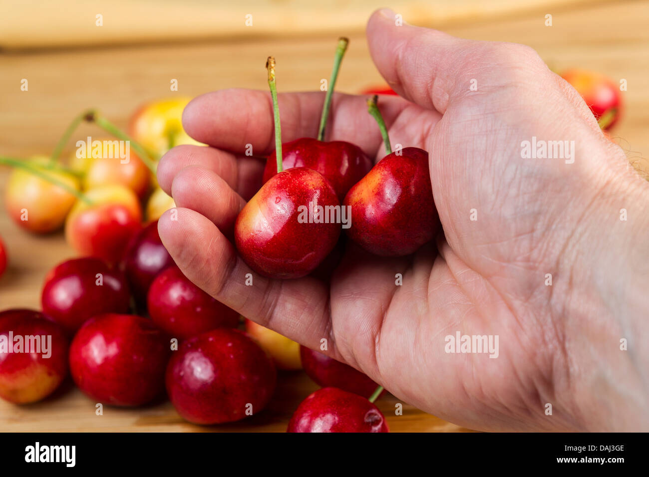 Closeup horizontal photo of male hand holding Rainier cherries with pile of cherries in background on bamboo board Stock Photo