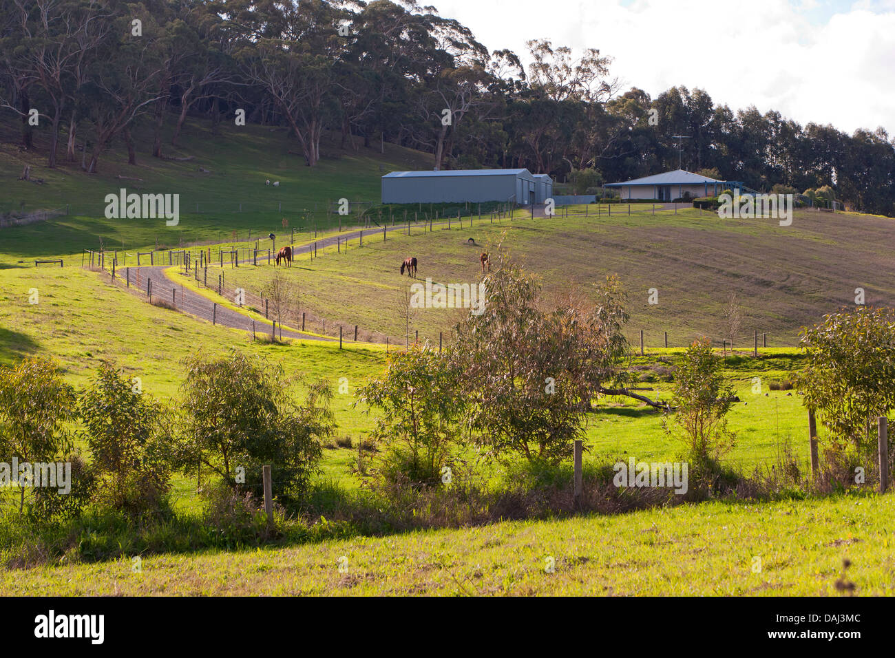 trees rural country horses shed house farm road driveway farming