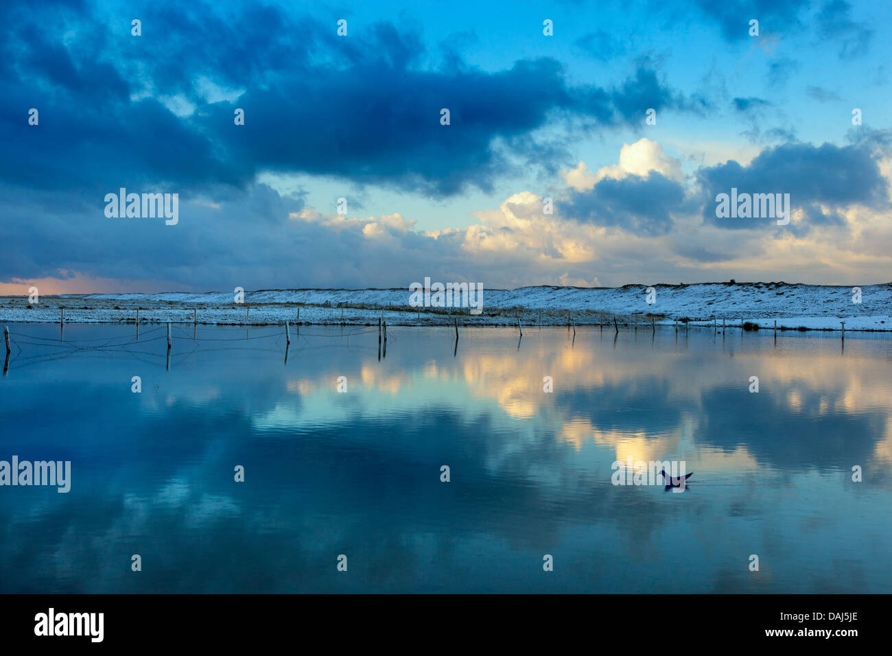 Flooded grazing marshes at Salthouse Norfolk in Winter snow Stock Photo