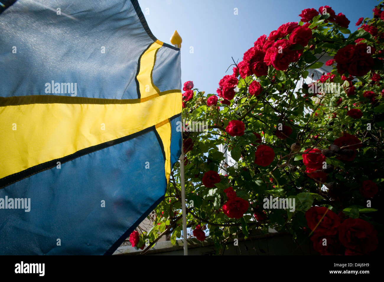 swedish sweden summer flag flags hot sunny sunshine blue sky skies Stock Photo