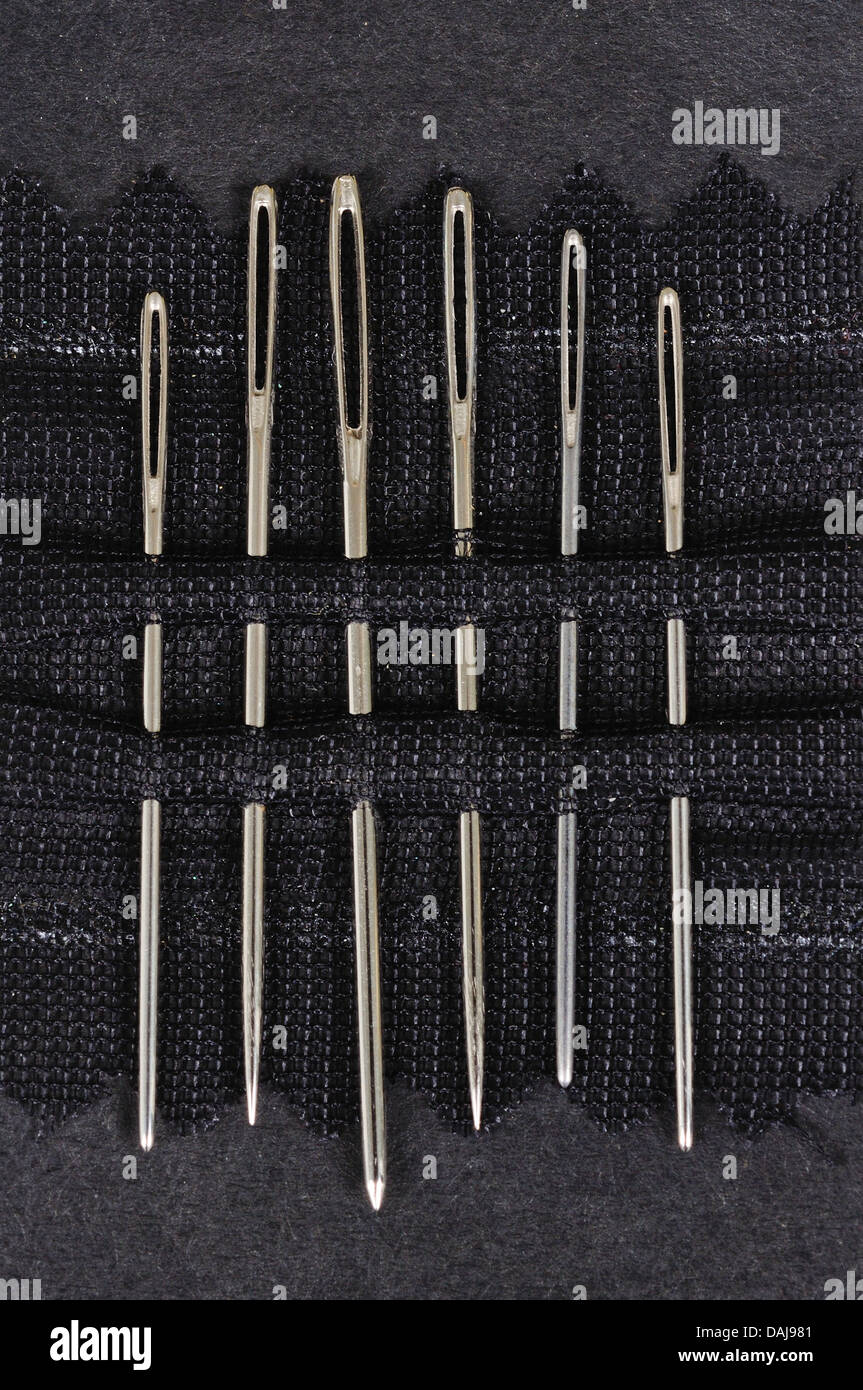 Tapestry/embroidery needles in a holder Stock Photo Alamy