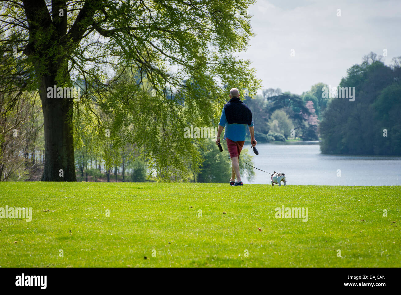 A man walking his dog in the Blenheim Palace gardens, Woodstock, Oxfordshire, United Kingdom Stock Photo