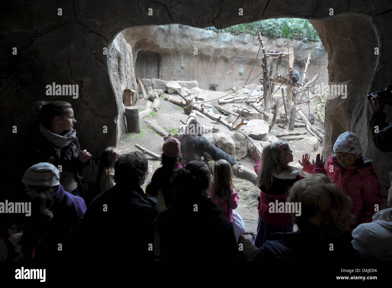 Visitors stand in front of the gorilla enclosure in Pongoland at the Zoo in Leipzig, Germany, 31 March 2011. Pongoland houses primates in a nearly natural and large compound, which will be 10 years old on 02 April 2011. Photo: Peter Endig Stock Photo