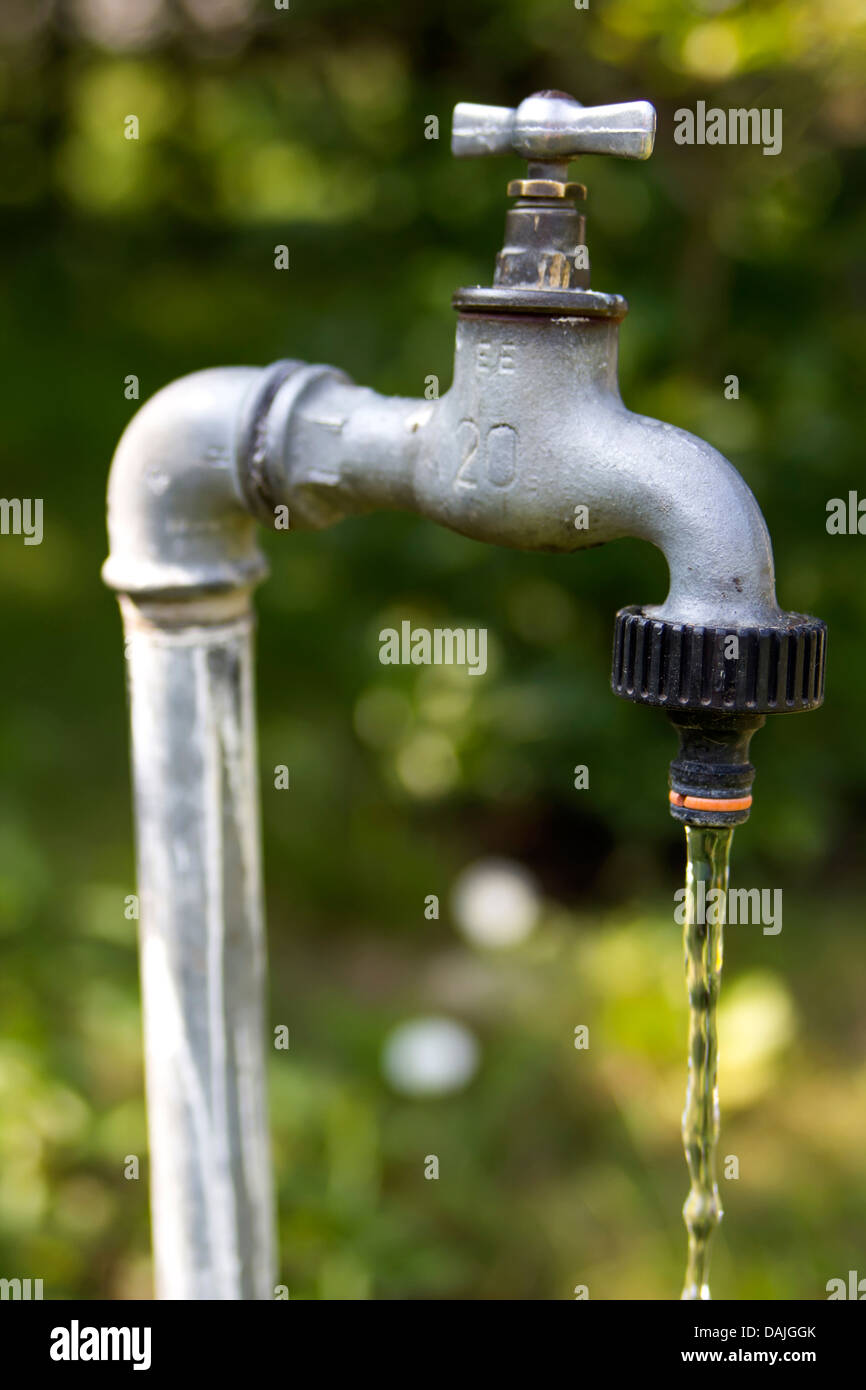 old garden tap leaking water Stock Photo Alamy