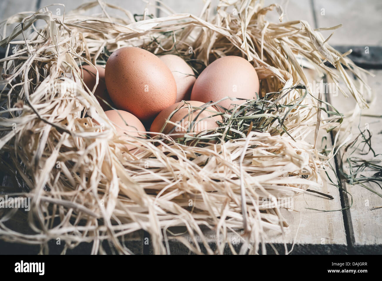 Brown eggs in straw nest, close up Stock Photo - Alamy