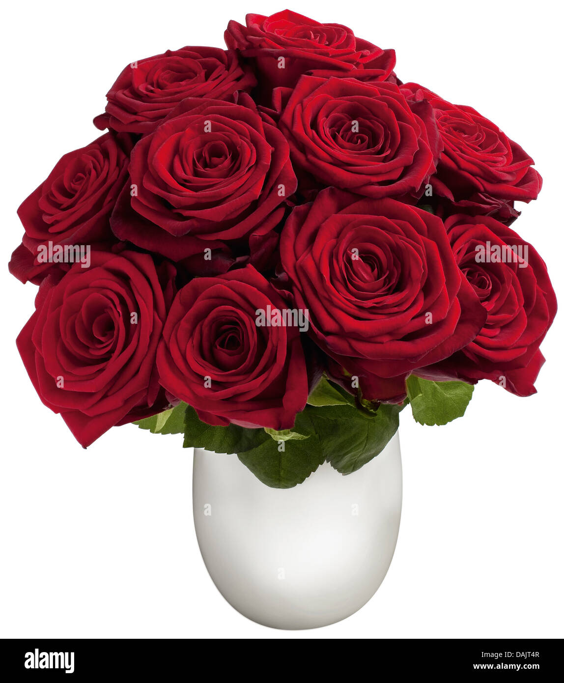 Red roses in flower vase on white background, close up Stock Photo - Alamy