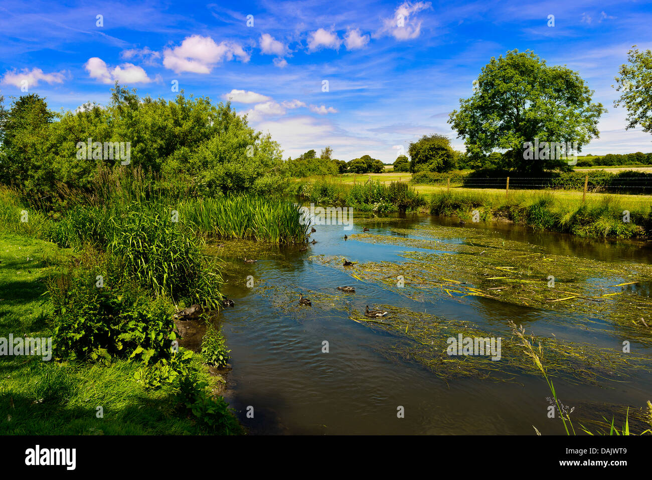 View of a Dorset River Stock Photo - Alamy