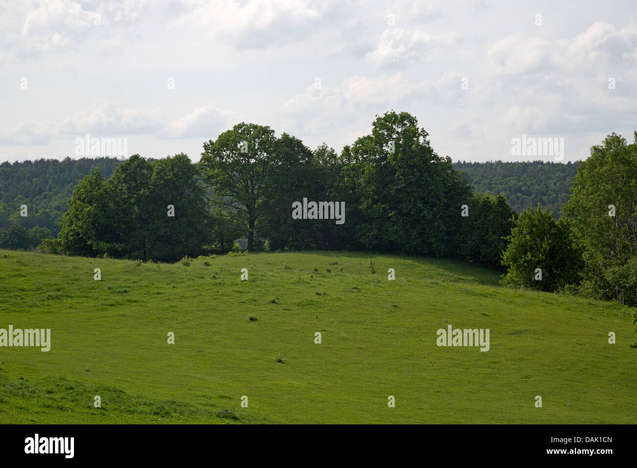 2,984 Green Hillock Stock Photos - Free & Royalty-Free Stock