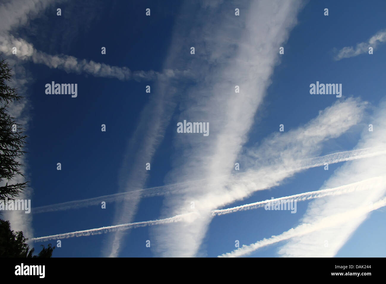 Chemtrails and contrails left by jet Stock Photo