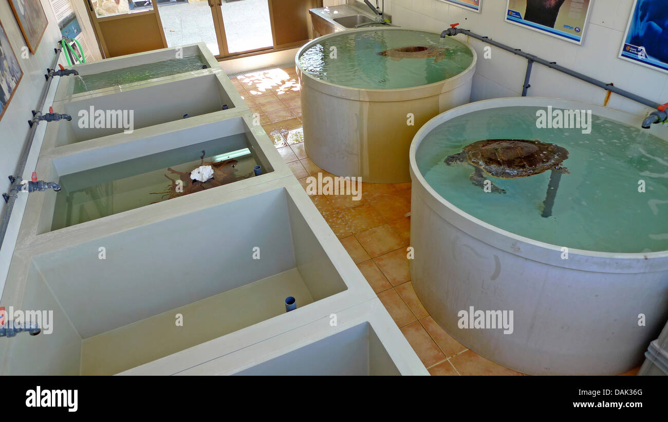 basins with ill or malnourished sea animals in a zoo Stock Photo