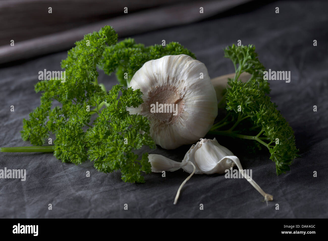 Parsley and garlic bulbs on textile, close up Stock Photo