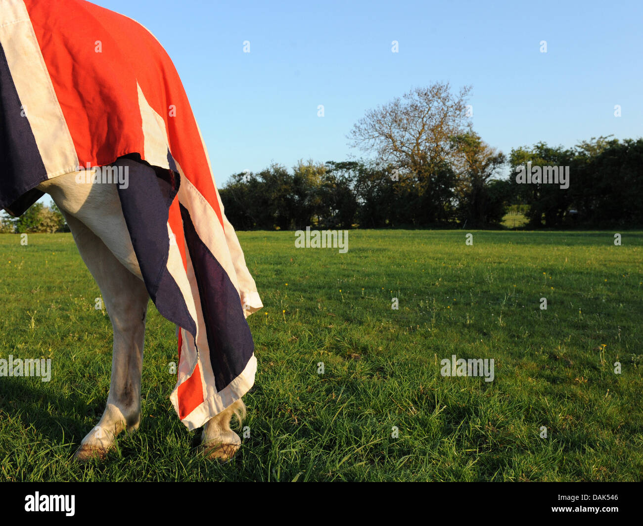 White horse vintage union jack hires stock photography and images Alamy