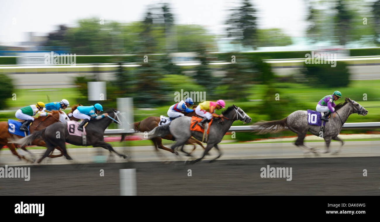 Victory Exchange leading the field in race 5 of the Queens Plate at Woodbine Racetrack Toronto Canada Stock Photo