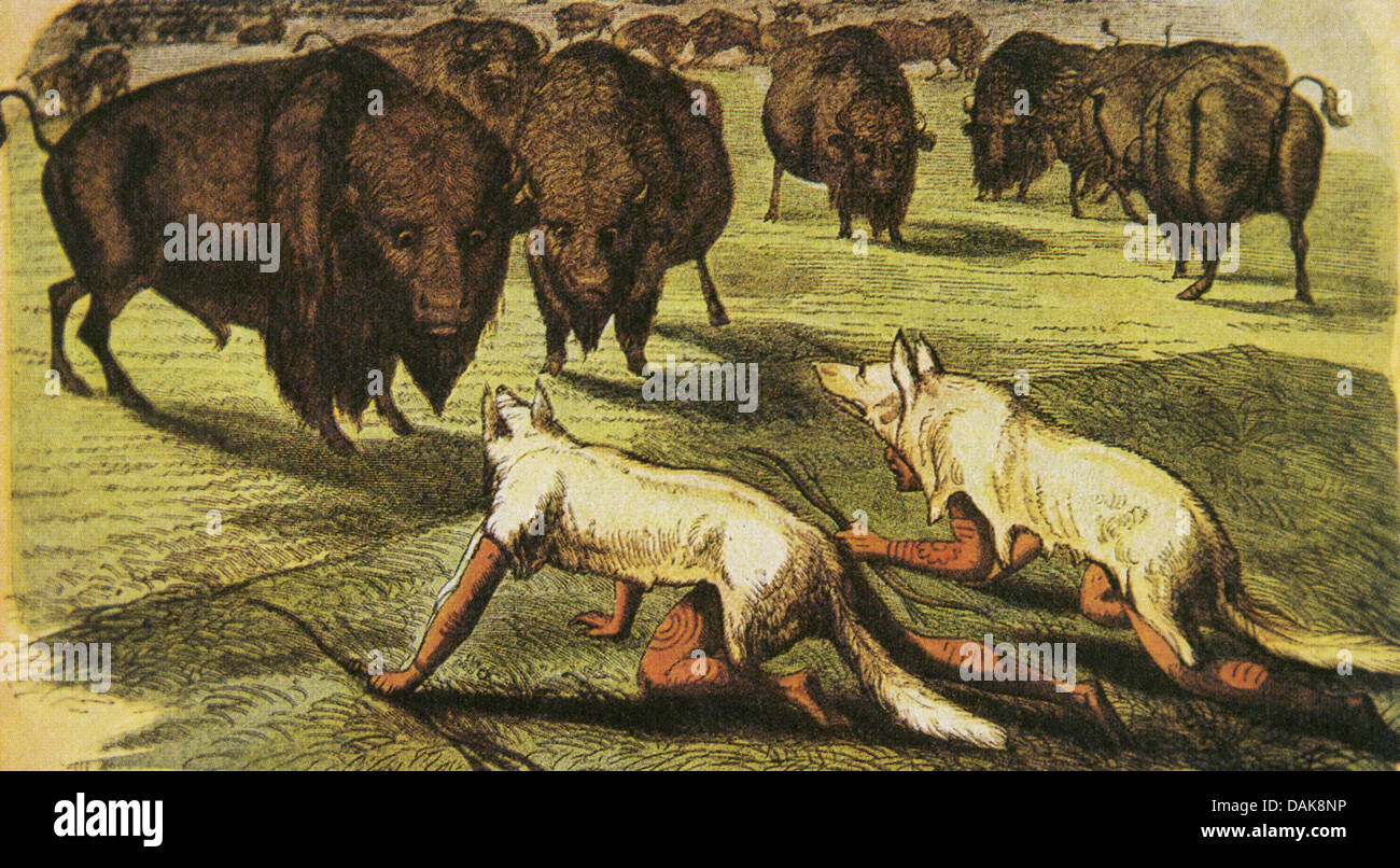 Buffalo Hunting Stock Illustration - Download Image Now