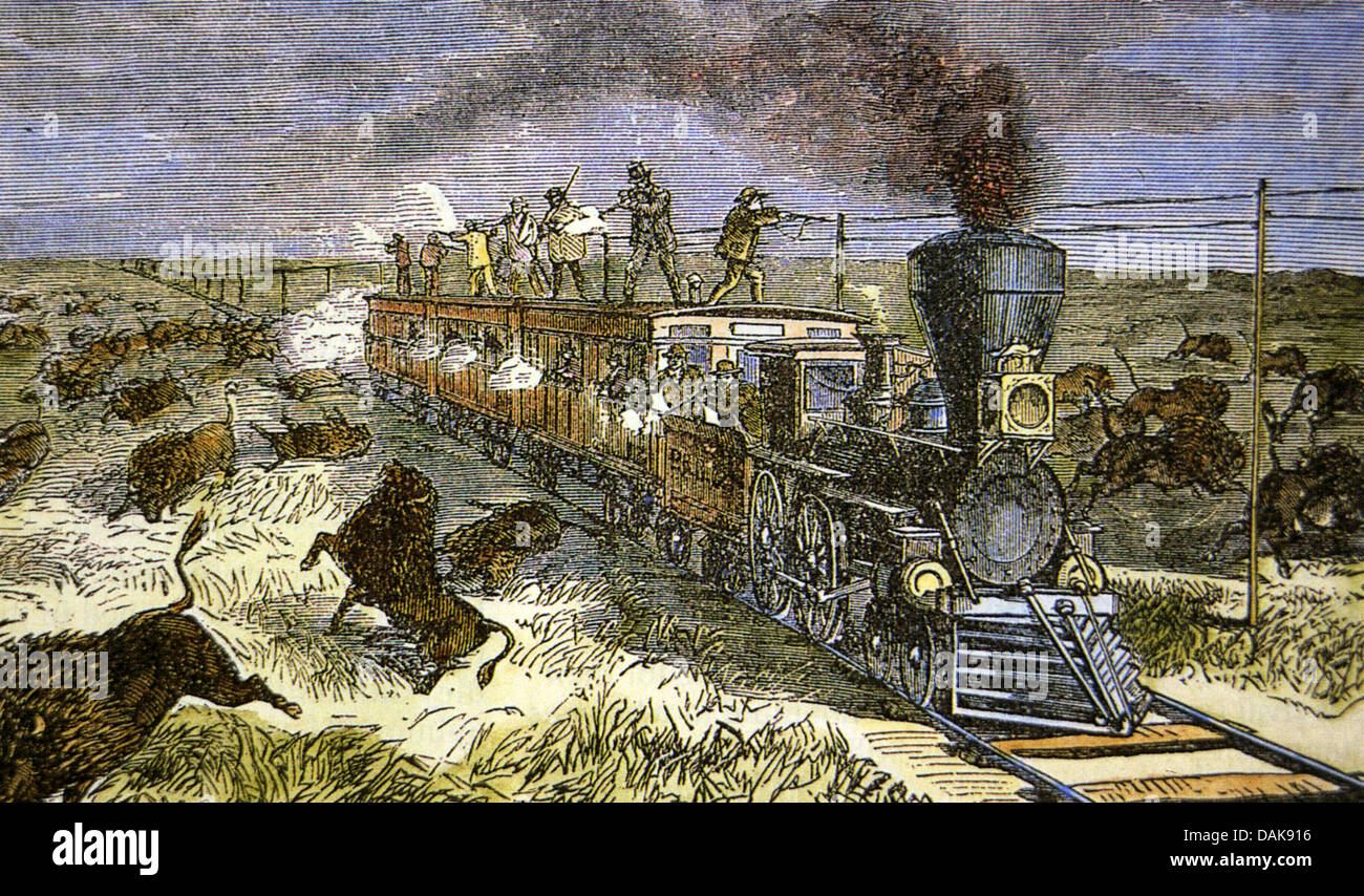 SHOOTING for sport from a train on the Kansas Railroad the 1870s Stock Photo - Alamy