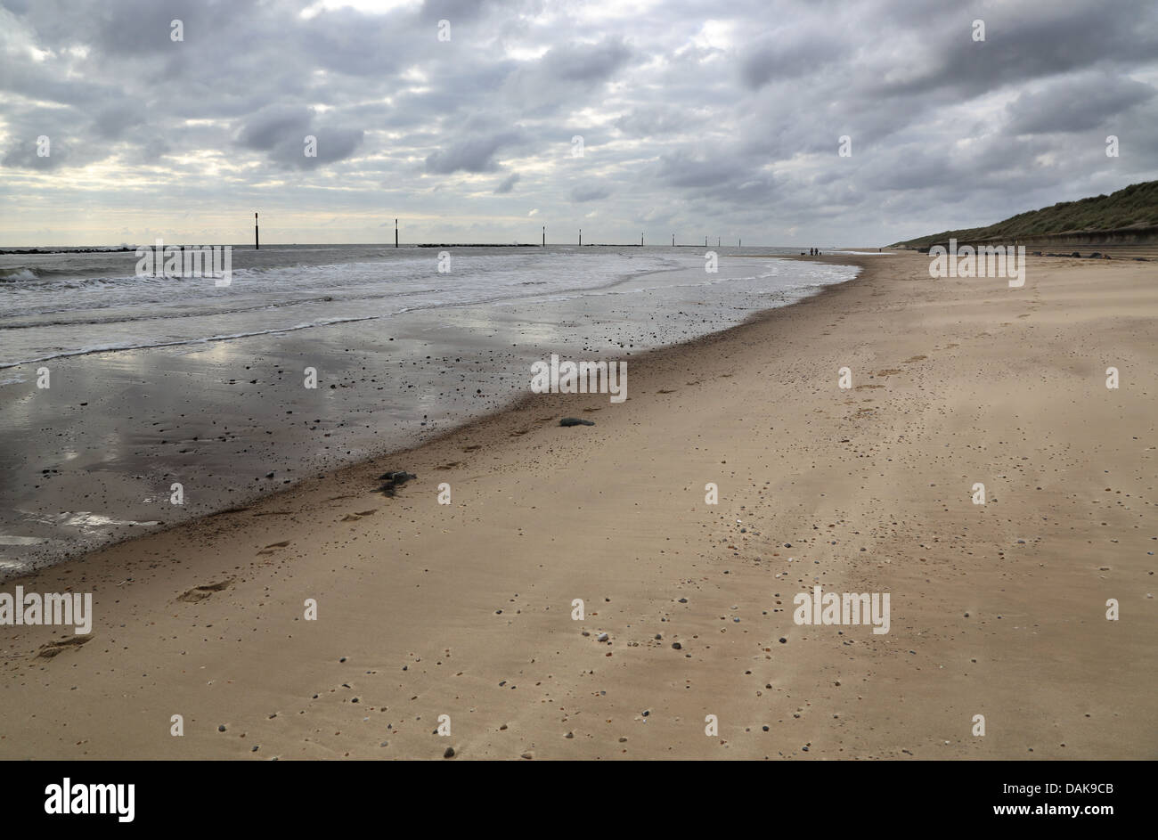 Sea palling hires stock photography and images Alamy