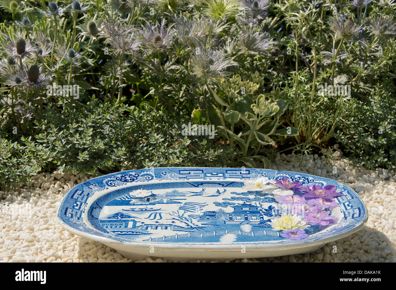 Willow Pattern platter with flowers in the Willow Pattern Summer Garden at RHS Hampton Court Palace Flower Show 2013. Stock Photo