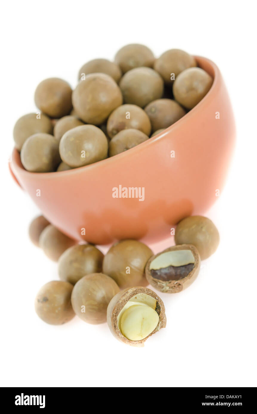 Shelled and unshelled macadamia nuts in a cup on white Stock Photo Alamy