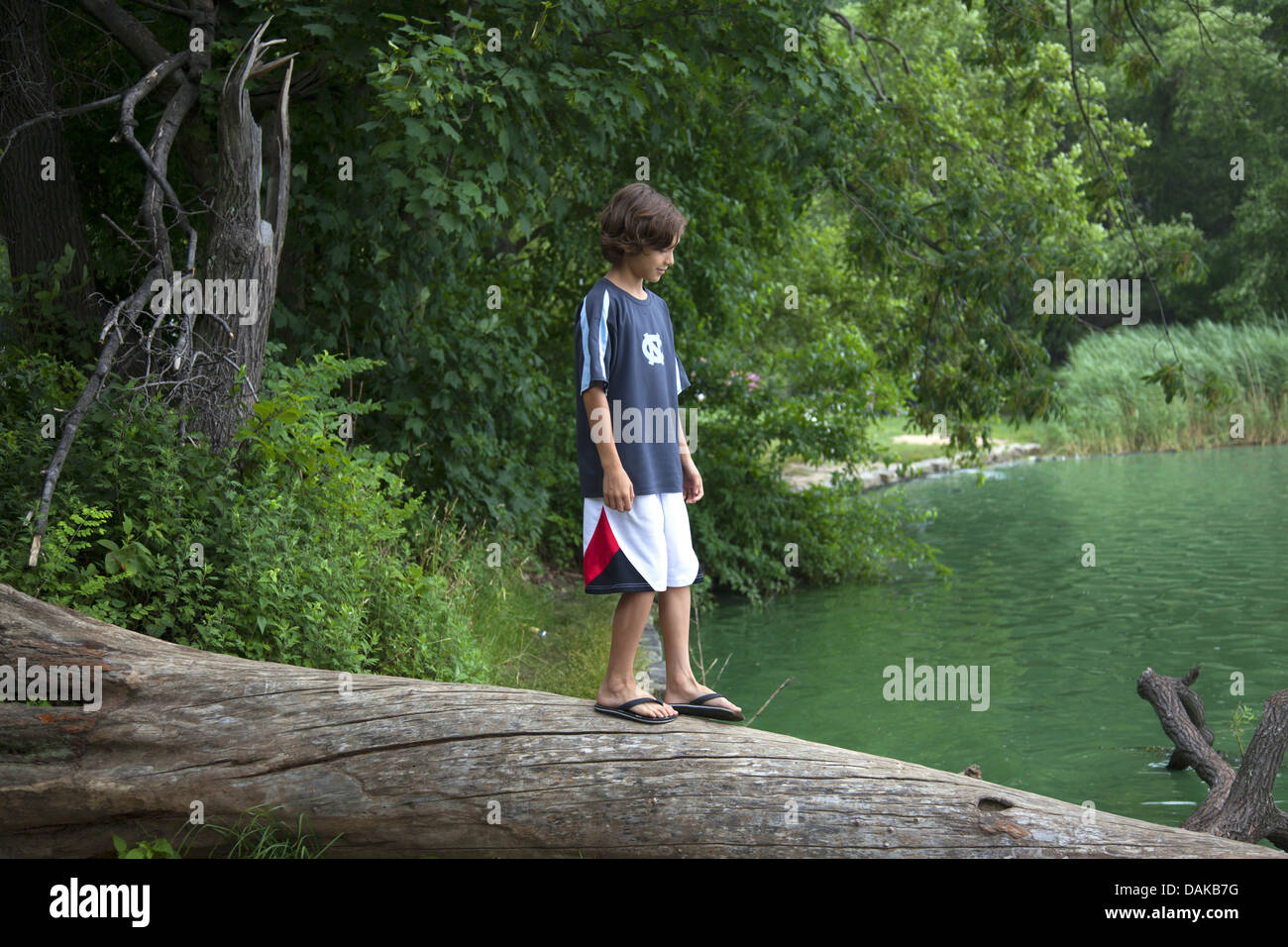 Boy carefully walks on a large tree trunk that fell into the water on ...