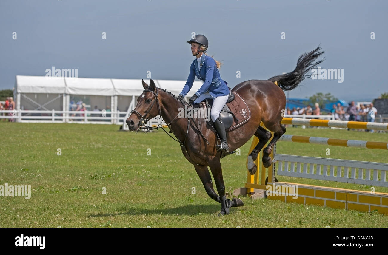 Stithians, UK. 15th July, 2013. Horse clears the fence during the show jumping contest at the Stithians show, Cornwall's biggest one day show. Credit:  Bob Sharples/Alamy Live News Stock Photo