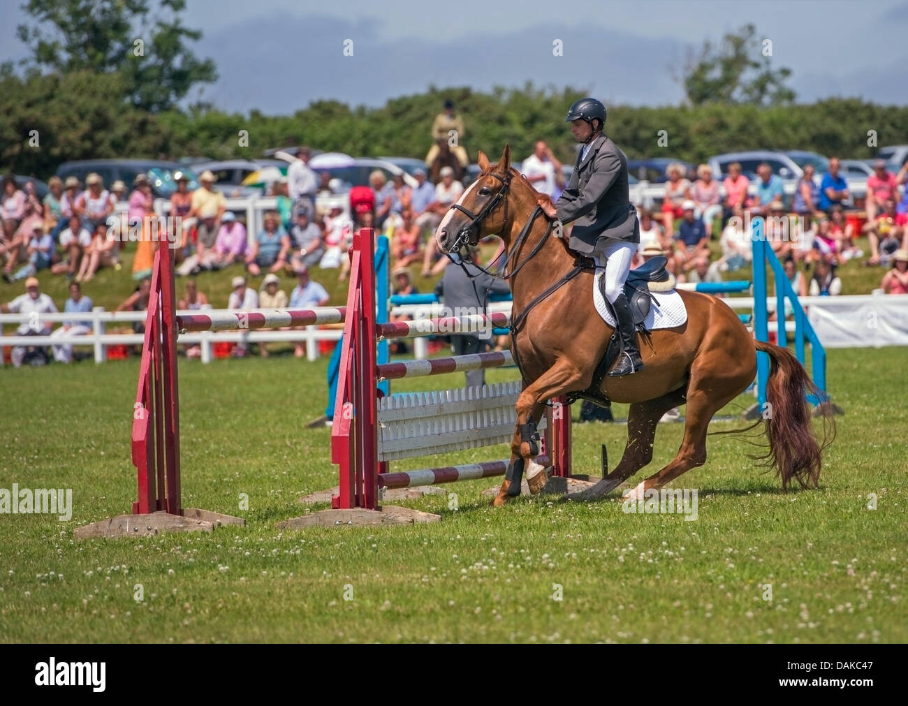 Stithians, UK. 15th July, 2013. Horse refuses to jump the fence at the Stithians show, Cornwall's biggest one day show. Credit:  Bob Sharples/Alamy Live News Stock Photo