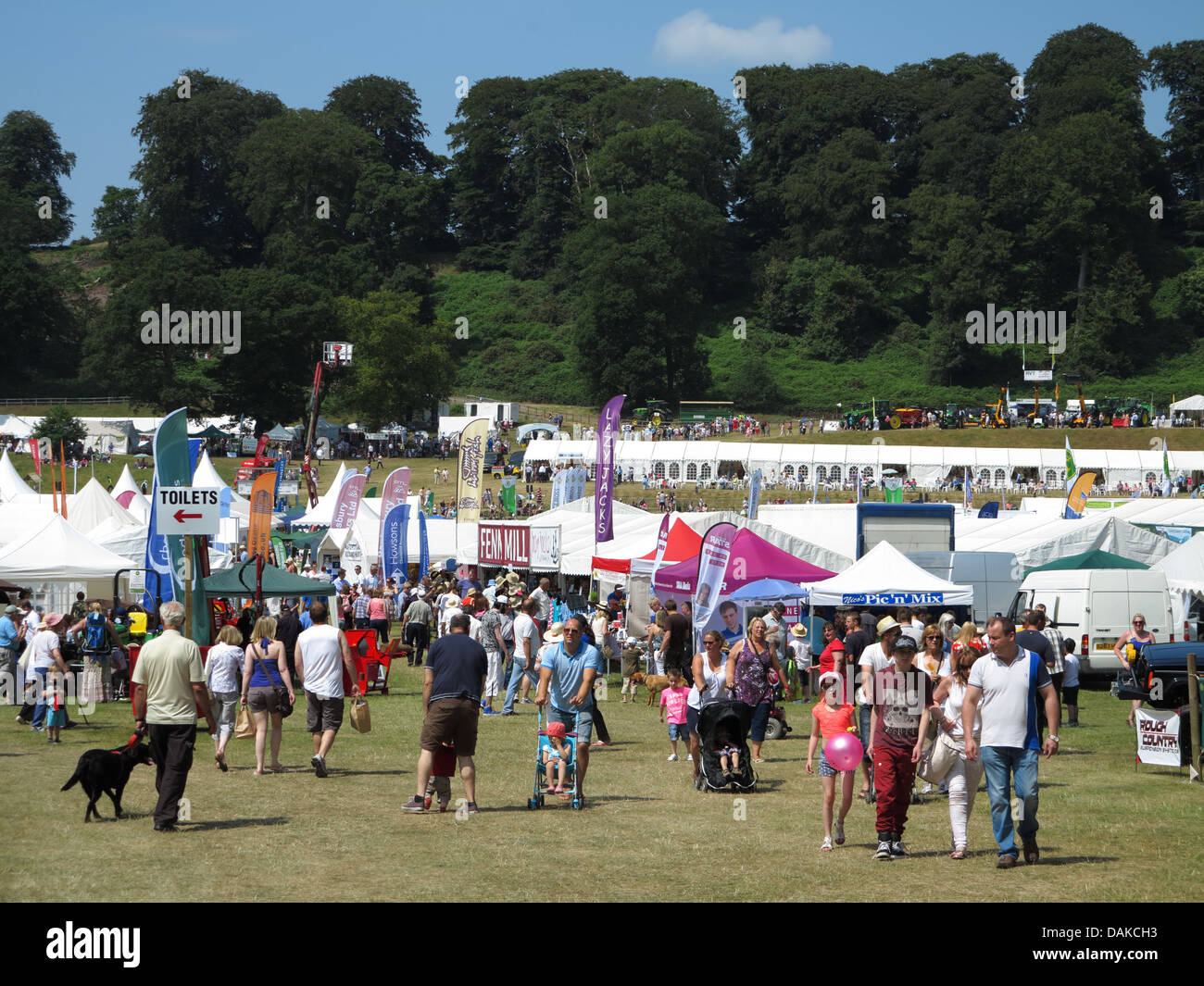 Newport Show, Chetwynd Deer Park, Newport, Shropshire Stock Photo Alamy
