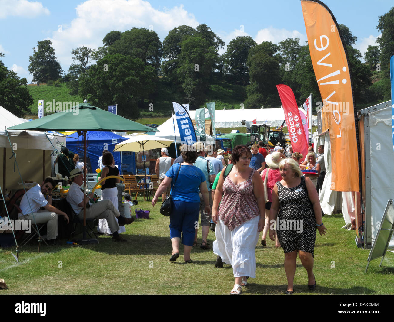 Newport Show, Chetwynd Deer Park, Newport, Shropshire Stock Photo Alamy