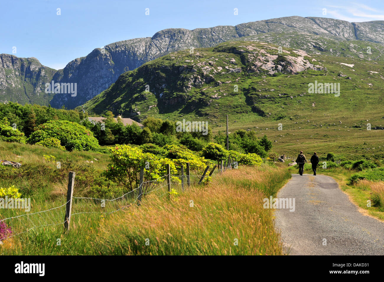 Poisoned Glen and Derryveagh Mountains, County Donegal, Ireland. Stock Photo