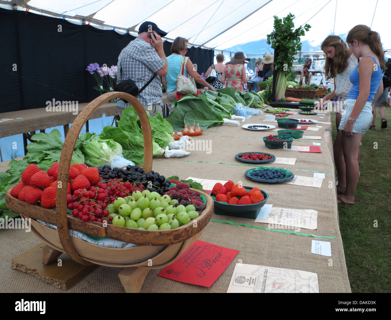 Newport Show, Chetwynd Deer Park, Newport, Shropshire Stock Photo Alamy
