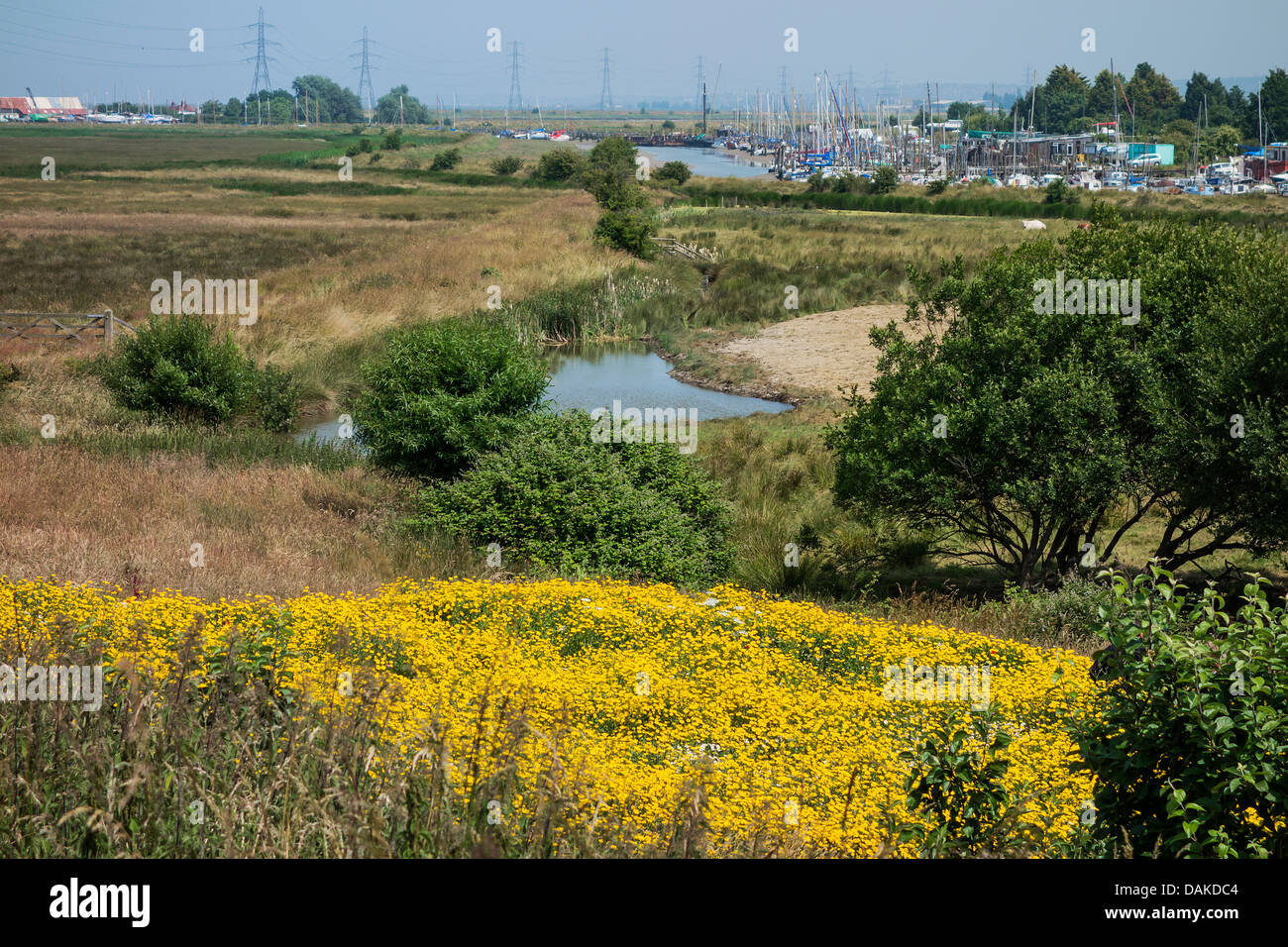Looking toward Oare Creek Faversham Kent Stock Photo Alamy