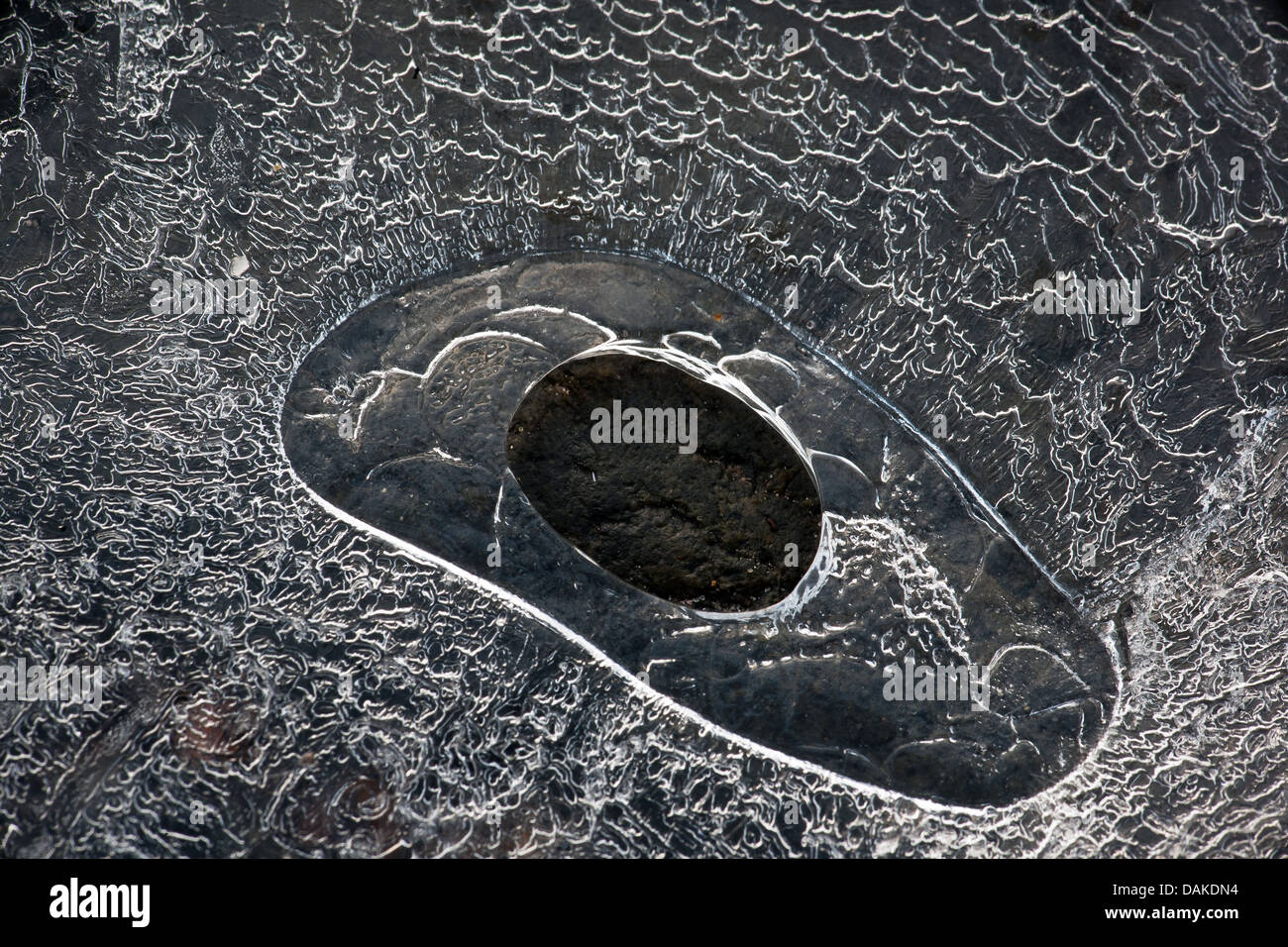 Arty ice formations in a pond at Oven, Østfold fylke, Norway. Stock Photo