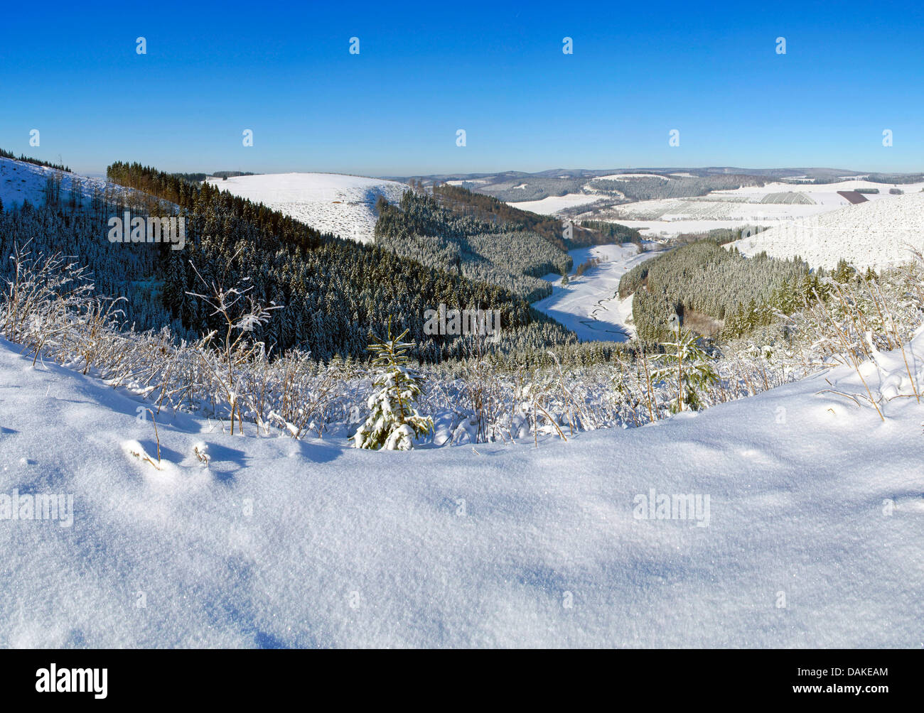 snow-covered forest and field landscape near Winterberg, Germany, North Rhine-Westphalia, Sauerland Stock Photo