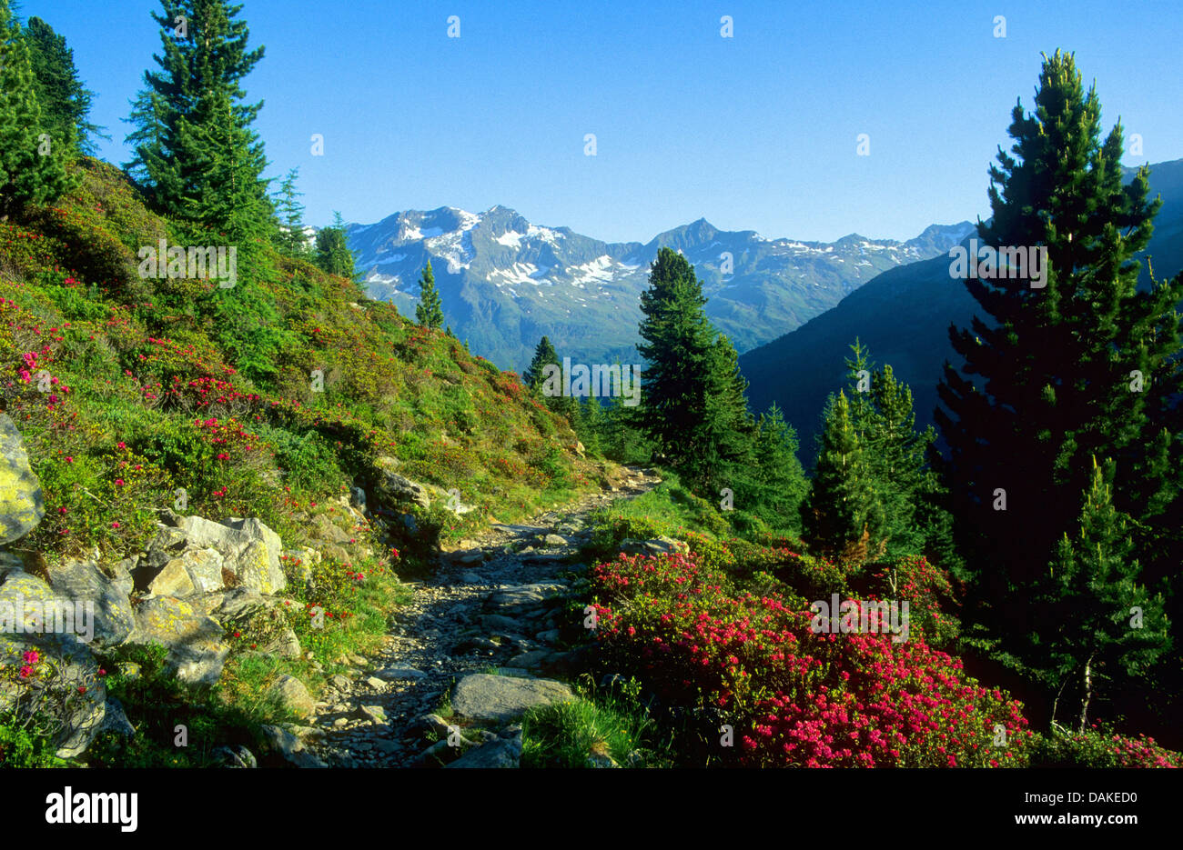 panoramic view from mountain path on the Durreck Group, Italy, South Tyrol, Val di Riva, Riva di Tures Stock Photo