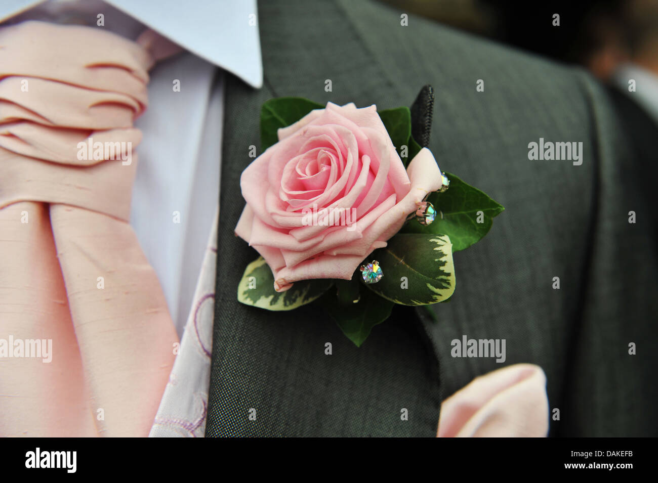 Close up of groom's button hole and tie Stock Photo