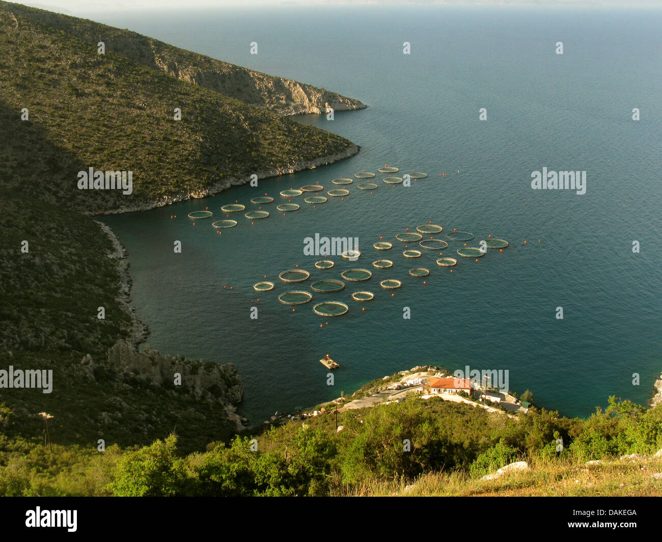 aquaculture in a bay near Agios Andreas, Greece, Peloponnese, Arkadien Stock Photo