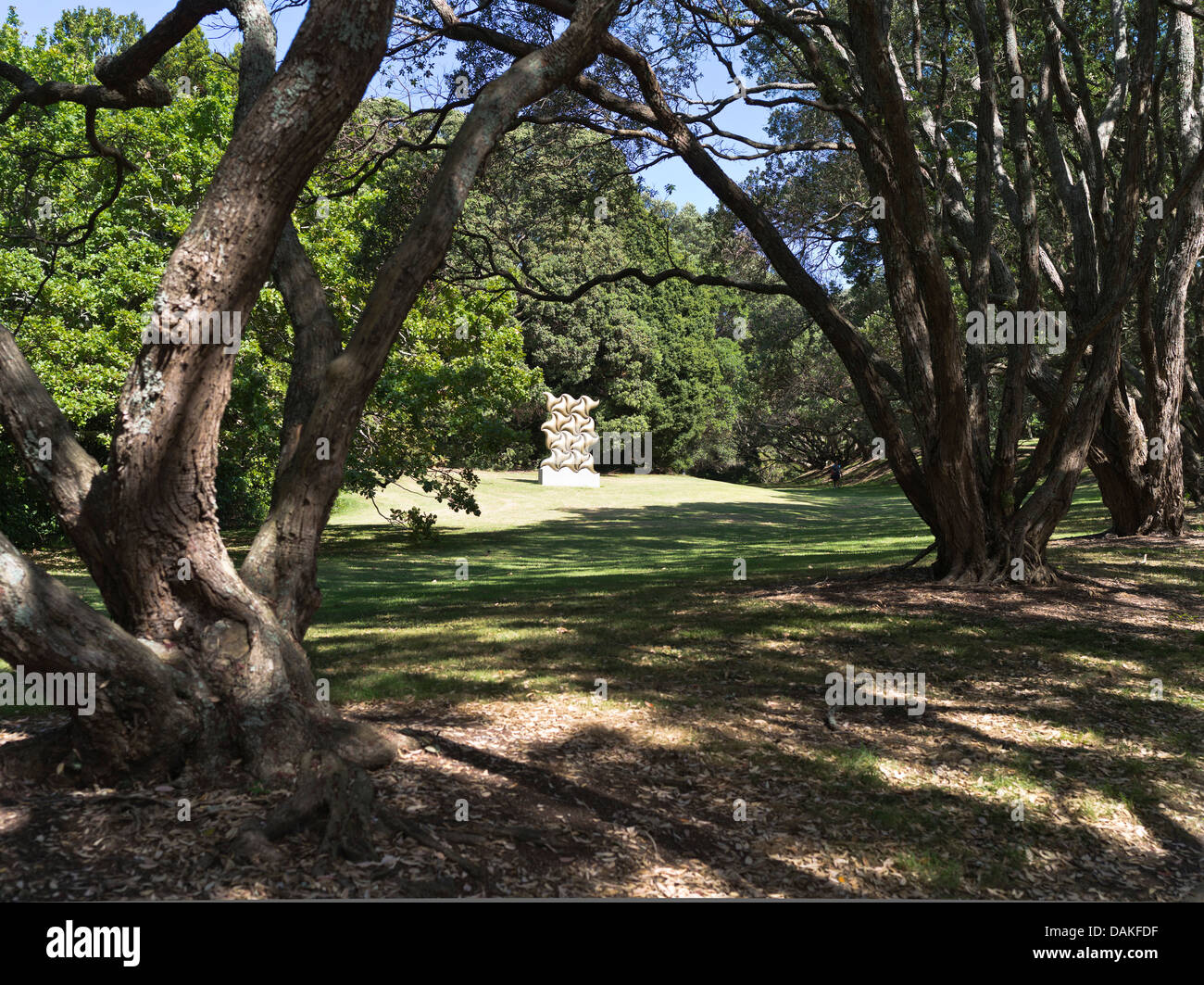 dh Woodland Sculptures AUCKLAND DOMAIN NEW ZEALAND NZ Parkland outdoors modern sculpture parks walk woodland park outdoor garden parklands Stock Photo