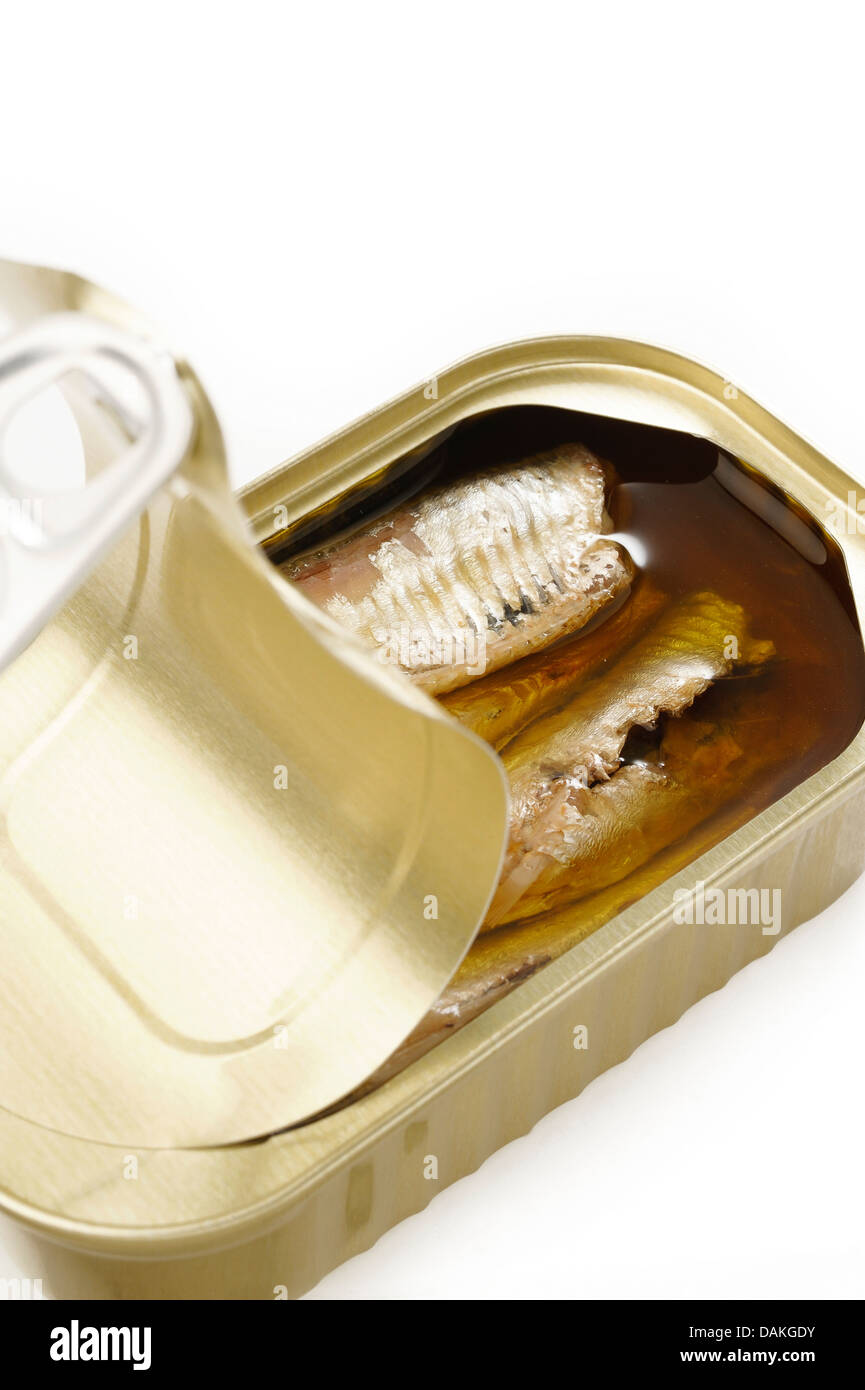 sardines in extra virgin olive oil on white background Stock Photo Alamy