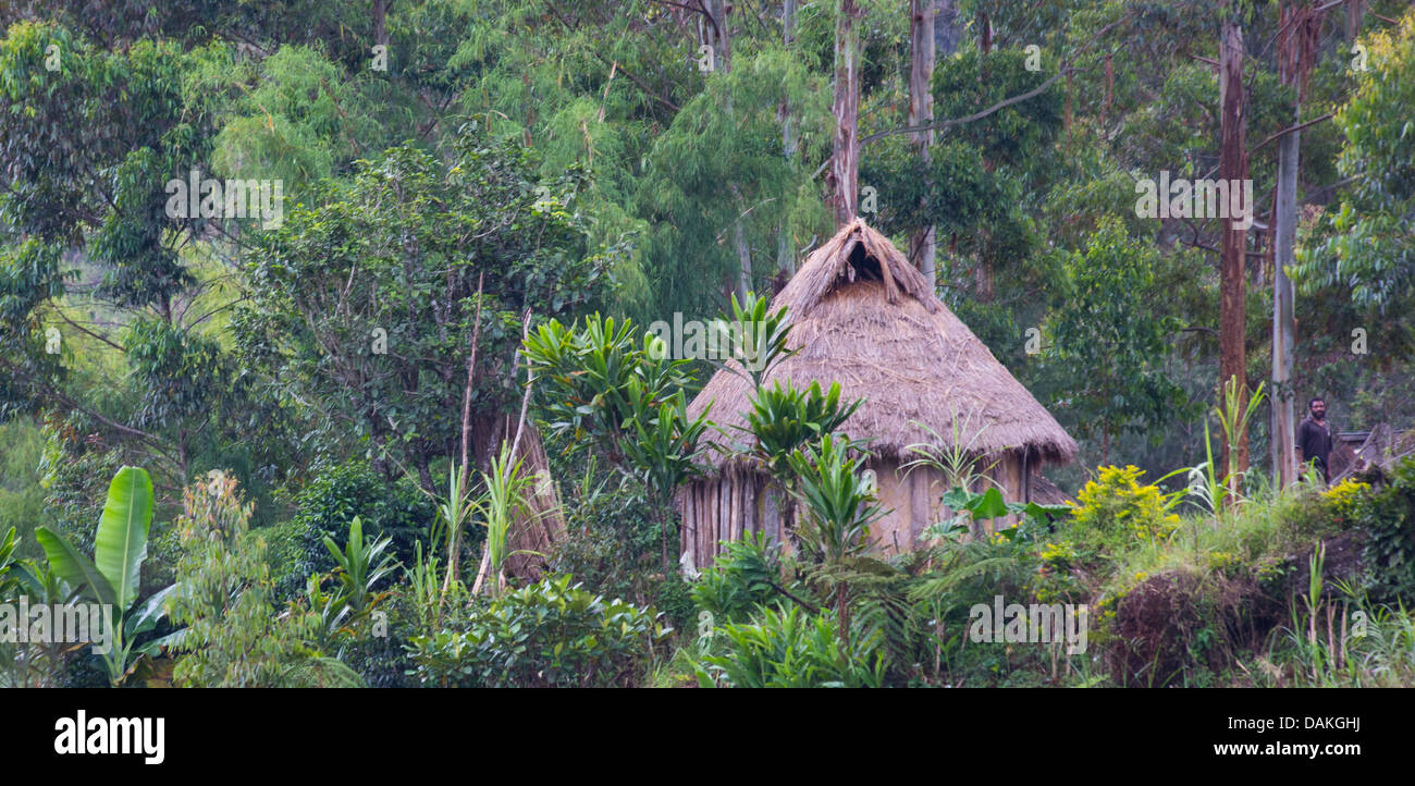 Small traditional village home in the Papua New Guinea highlands Stock Photo