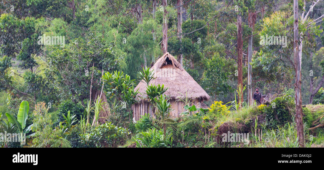 Small traditional village home in the Papua New Guinea highlands Stock Photo Alamy