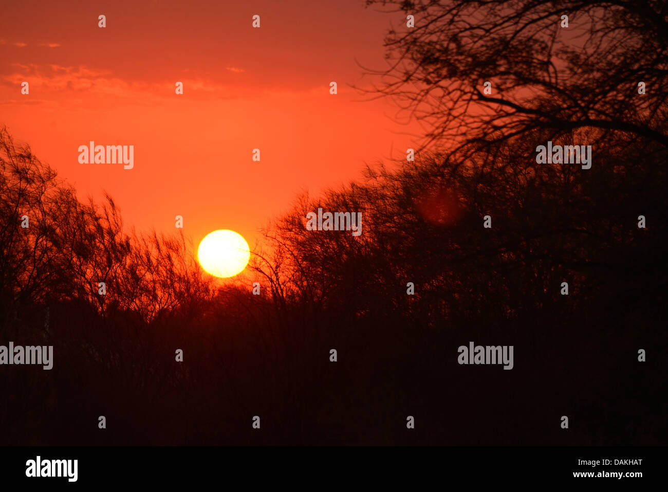 A dust storm filters the sun at sunset in the Sonoran Desert,Tucson ...