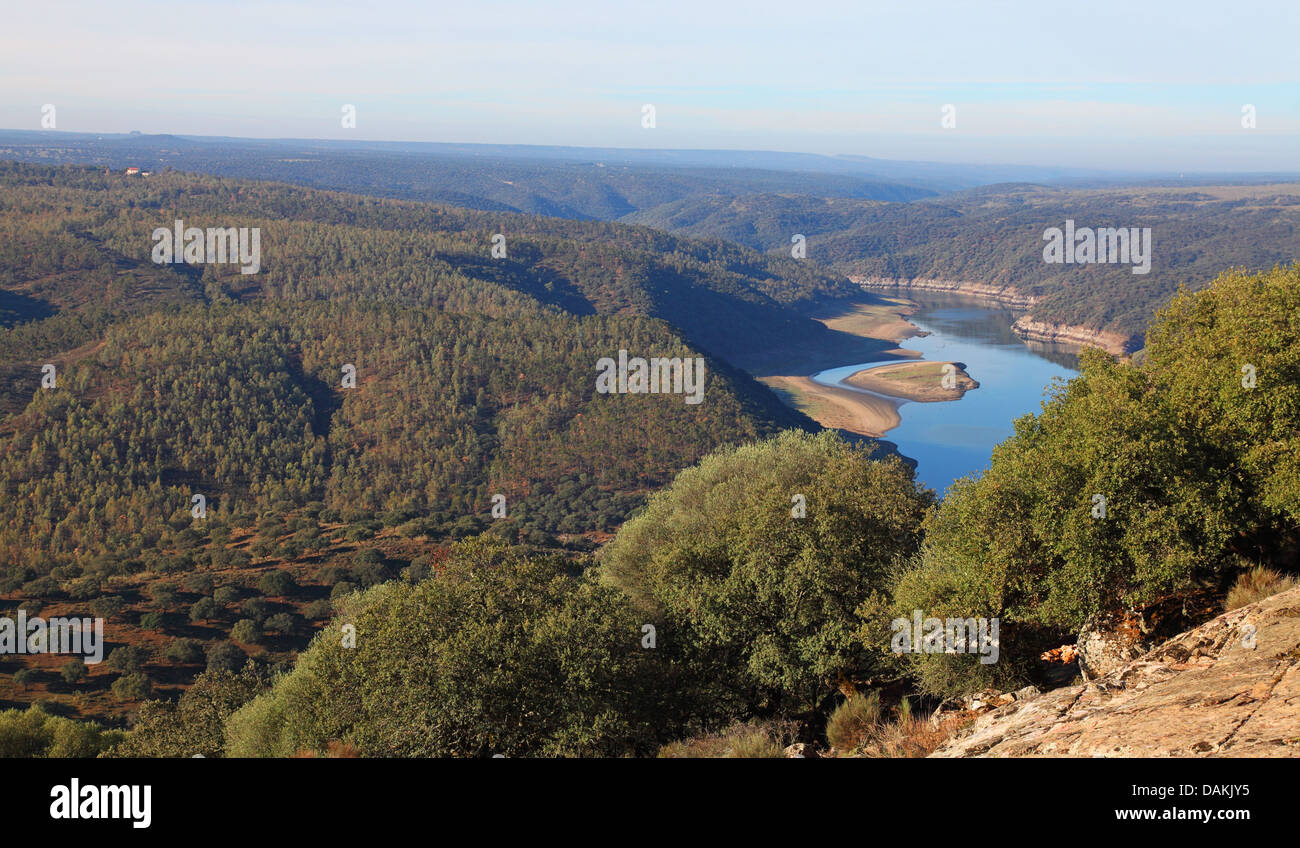 Rio Tajo with low water level, Spain, Extremadura, Monfrague National Park Stock Photo