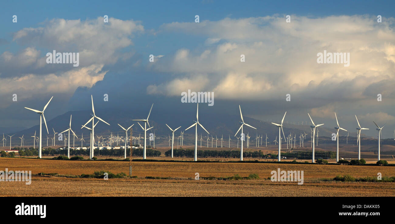 wind farm La Janda Barbate, Spain, Andalusia Stock Photo