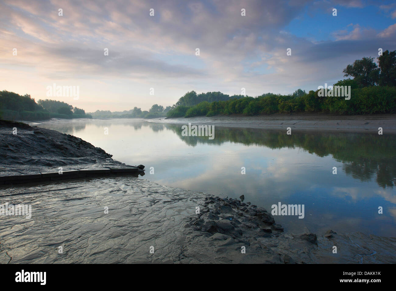 muddy riverbanks of Durme, Belgium Stock Photo