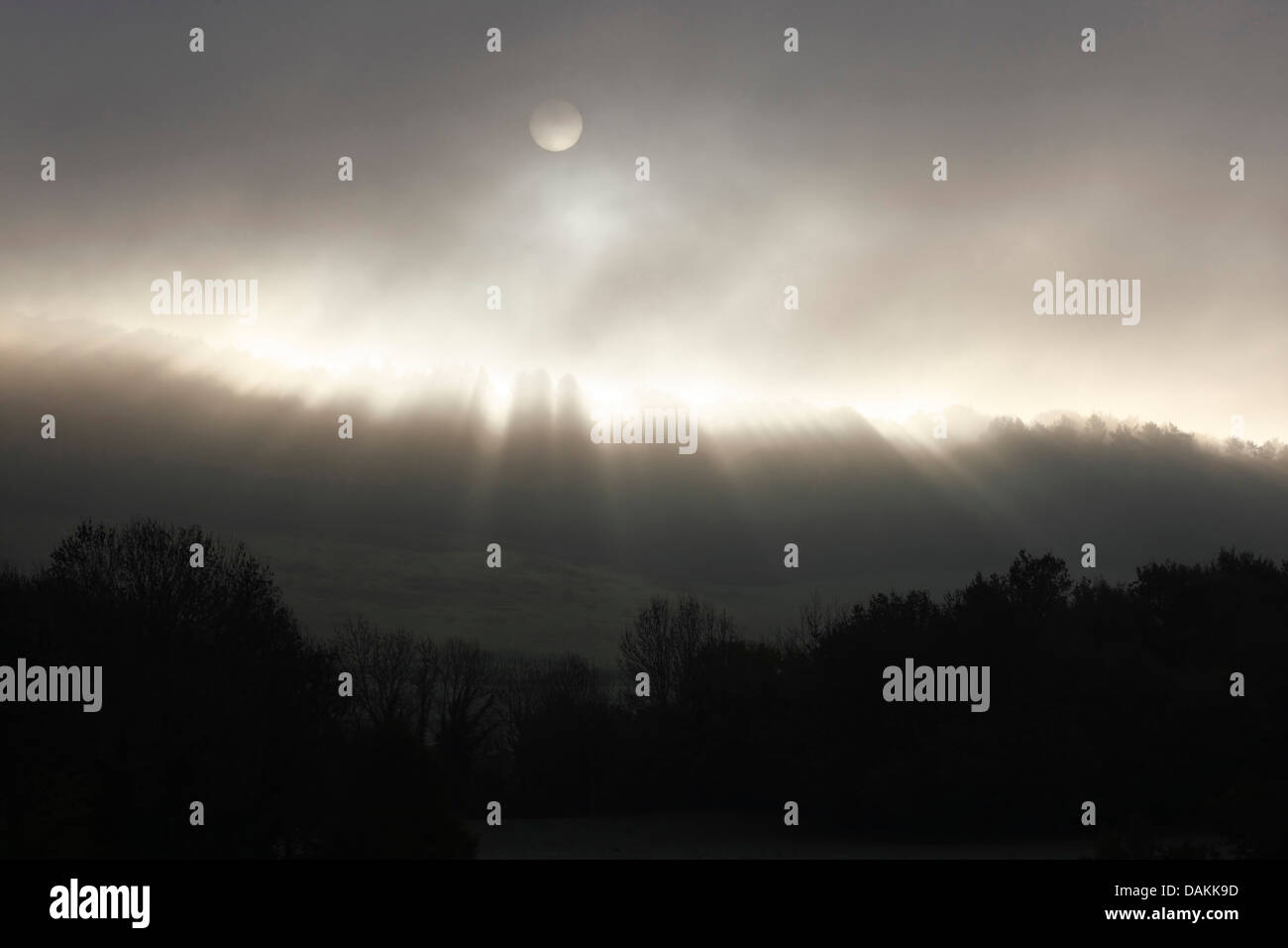 Fog over forest hi-res stock photography and images - Alamy