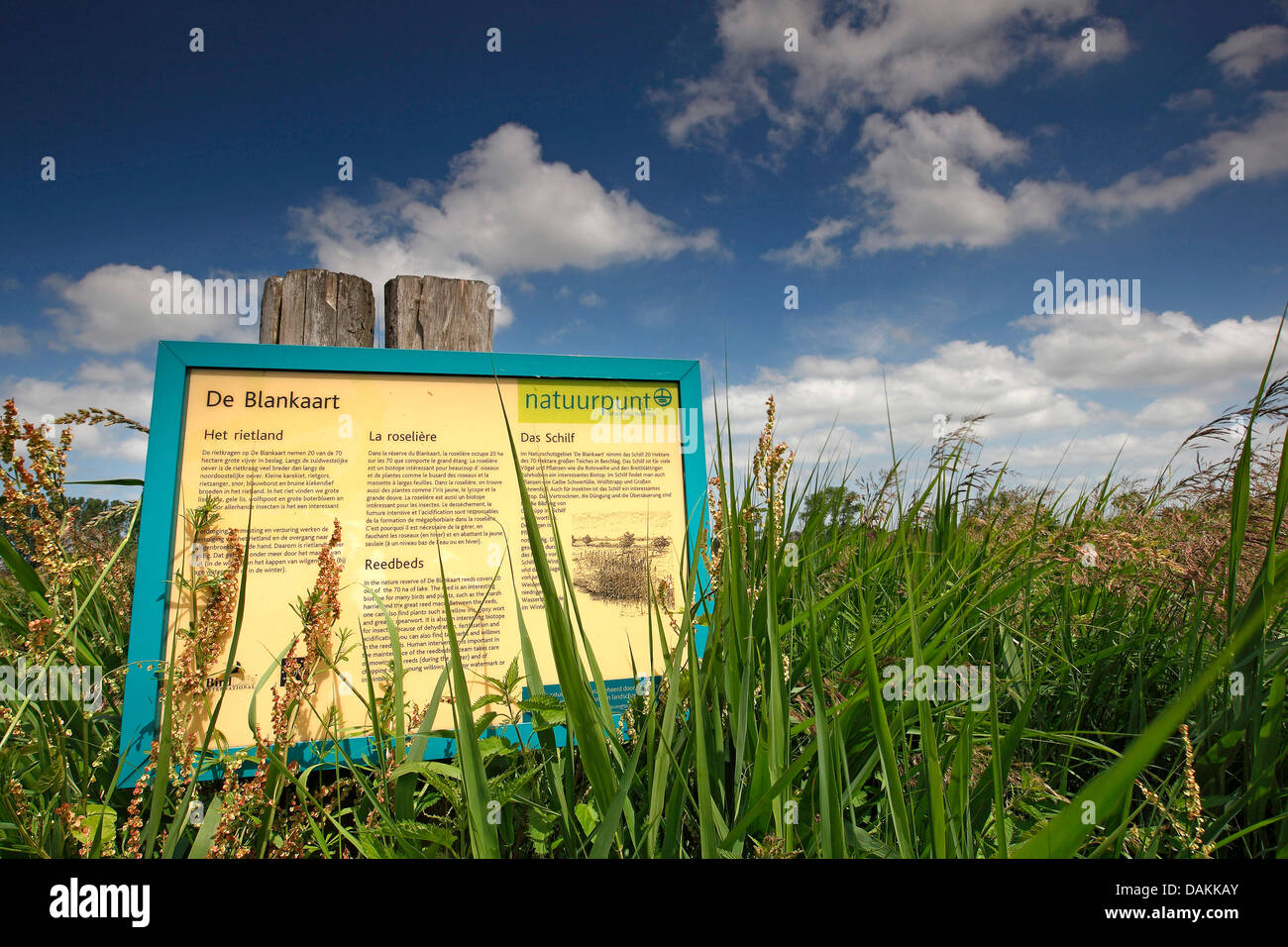 Information panel in blankaart nature reserve hires stock photography