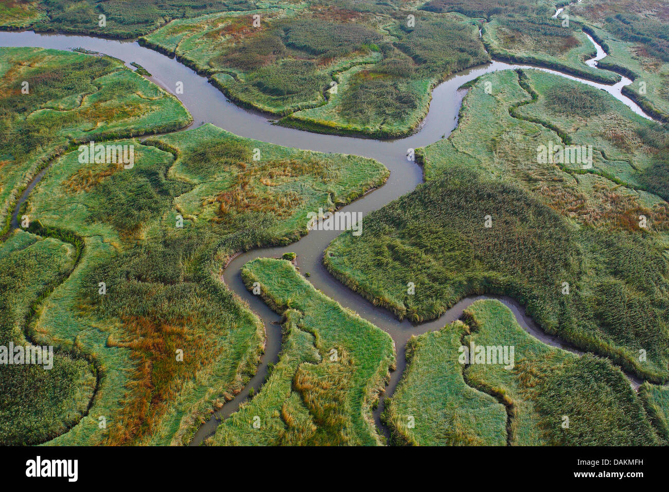 aerial view to river delta Verdronken land van Saeftinghe, Netherlands, Zeeuws-Vlaanderen, Verdronken land van Saeftinghe Stock Photo