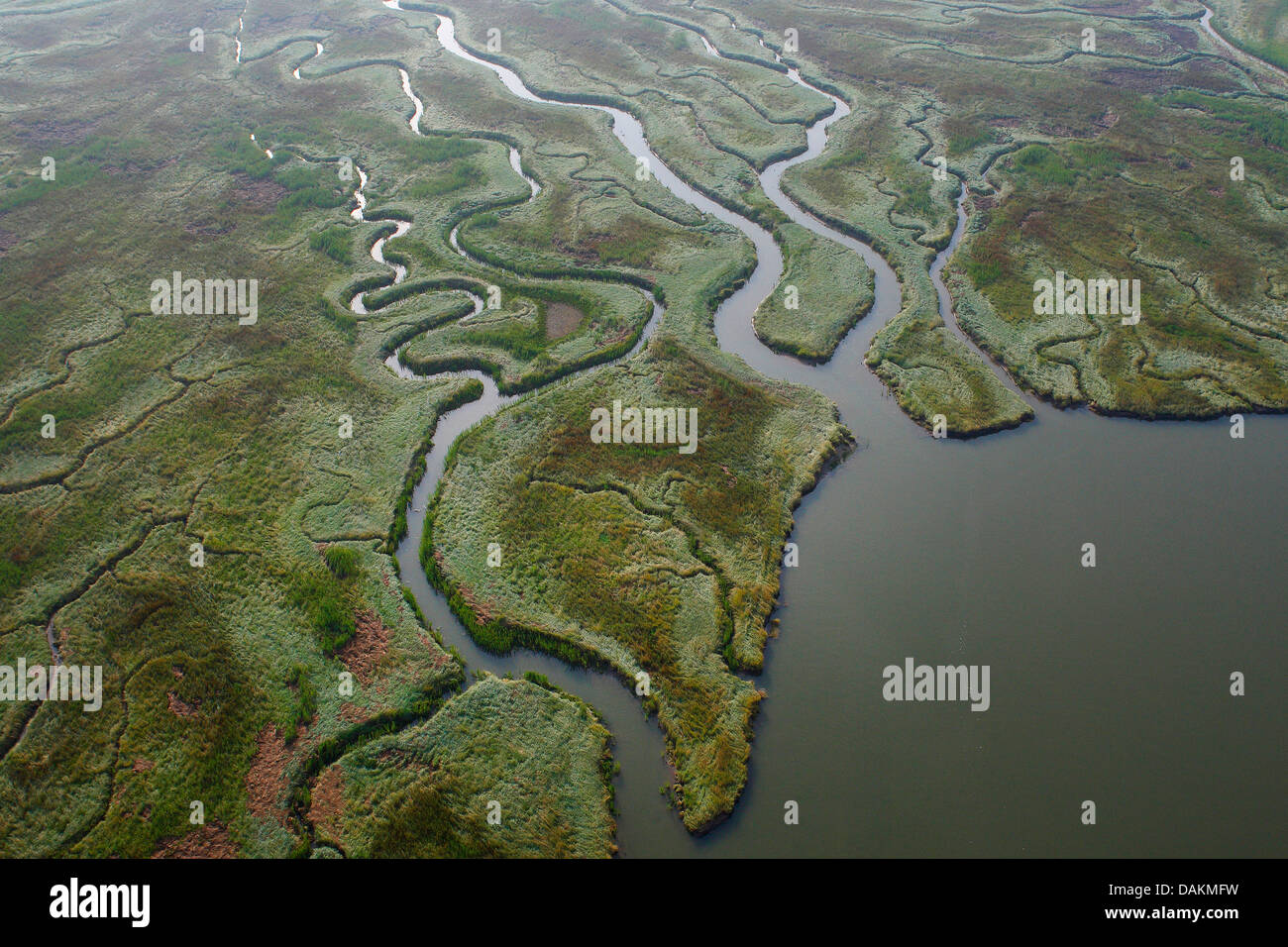 aerial view to river delta Verdronken land van Saeftinghe, Netherlands, Zeeuws-Vlaanderen, Verdronken land van Saeftinghe Stock Photo