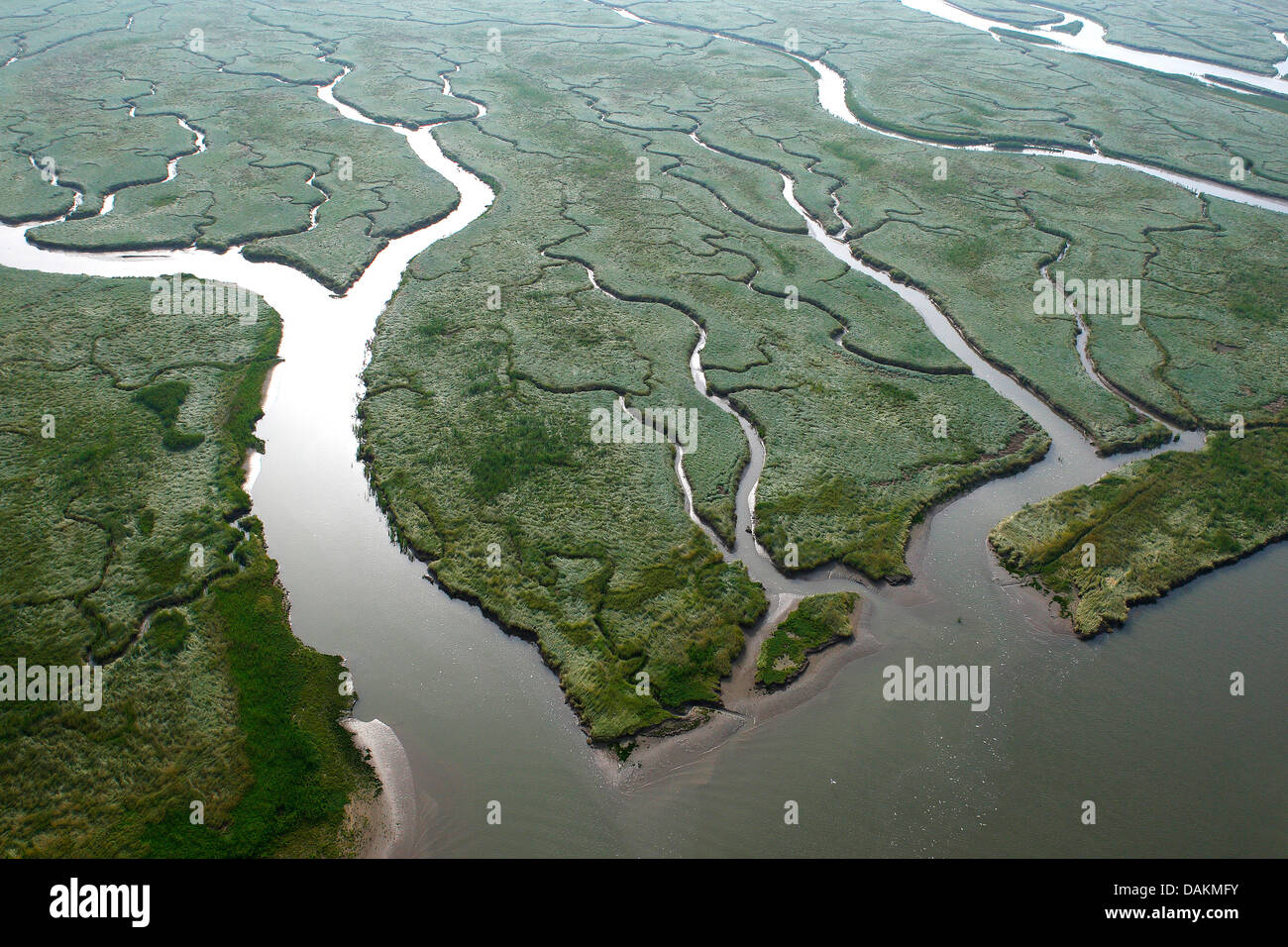 aerial view to river delta Verdronken land van Saeftinghe, Netherlands