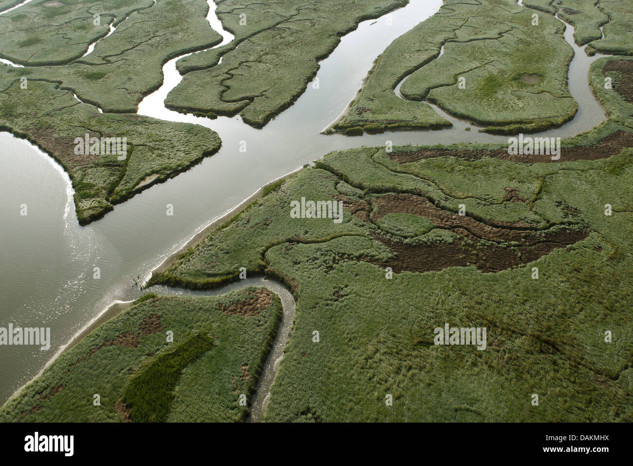 aerial view to river delta Verdronken land van Saeftinghe, Netherlands, Zeeuws-Vlaanderen, Verdronken land van Saeftinghe Stock Photo
