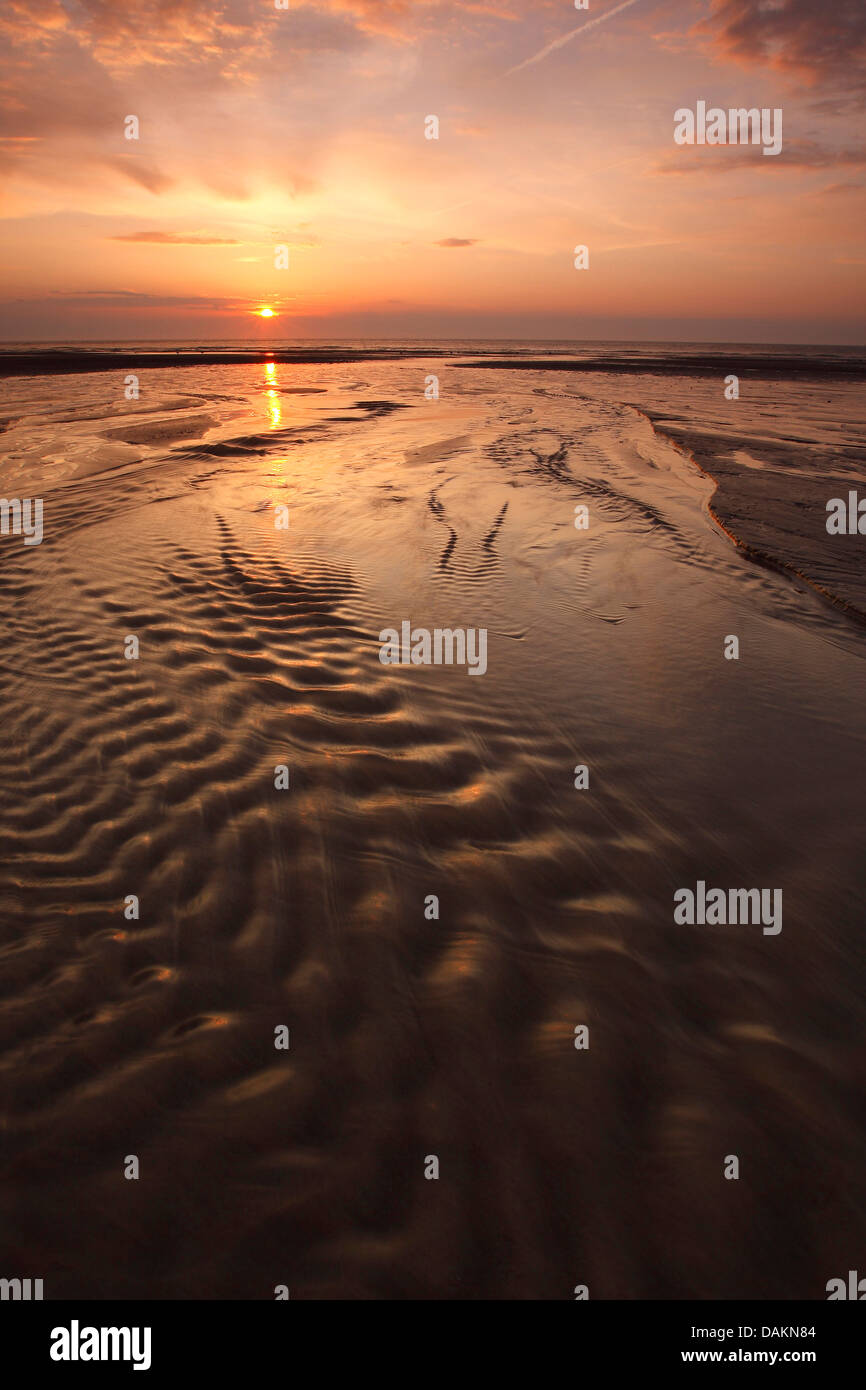 mud flats during low tide in the sunset, Netherlands Stock Photo